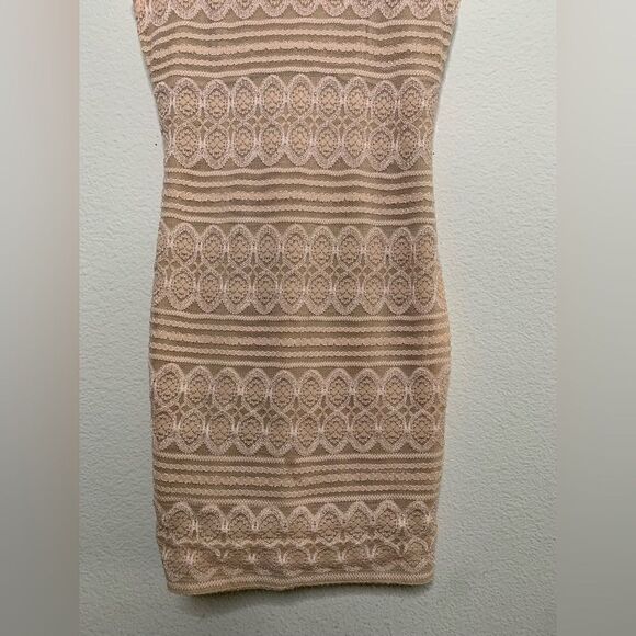 Pink and Tan Lace Dress - Picture 3 of 7